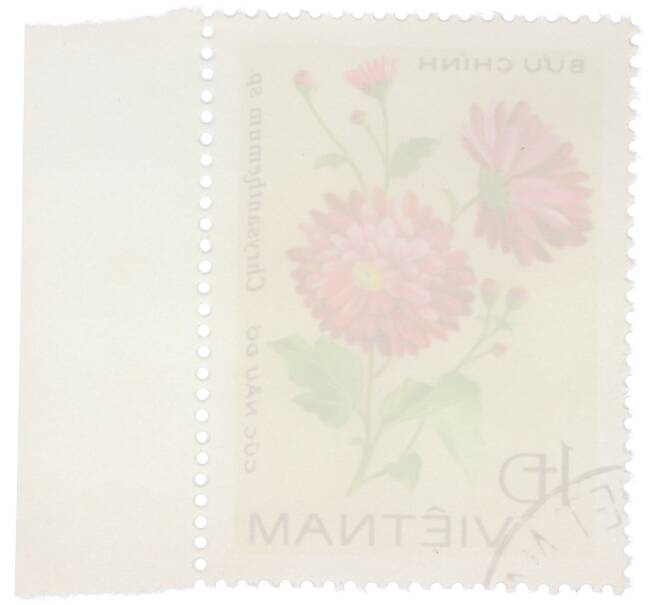 Почтовая марка 1 донг 1978 года Вьетнам «Хризантемы — Chrysanthemum sp» (Артикул: K12-80700) — Фото №2