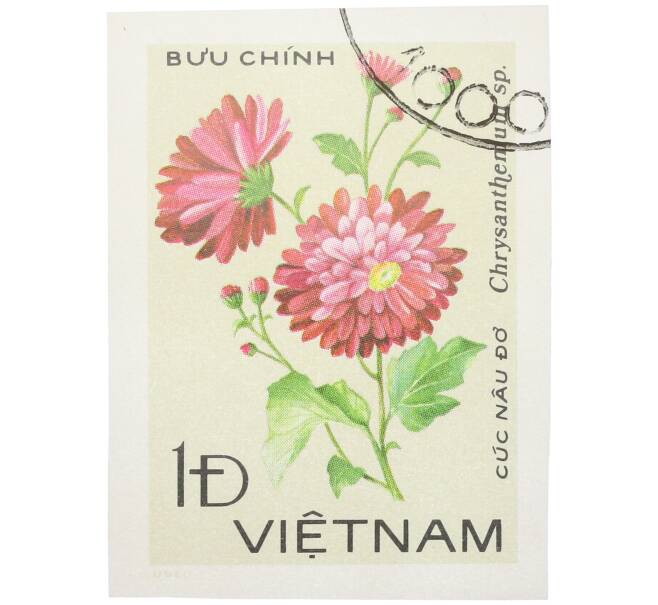 Почтовая марка 1 донг 1978 года Вьетнам «Хризантемы — Chrysanthemum sp» (Без перфорации) (Артикул: K12-80701) — Фото №1