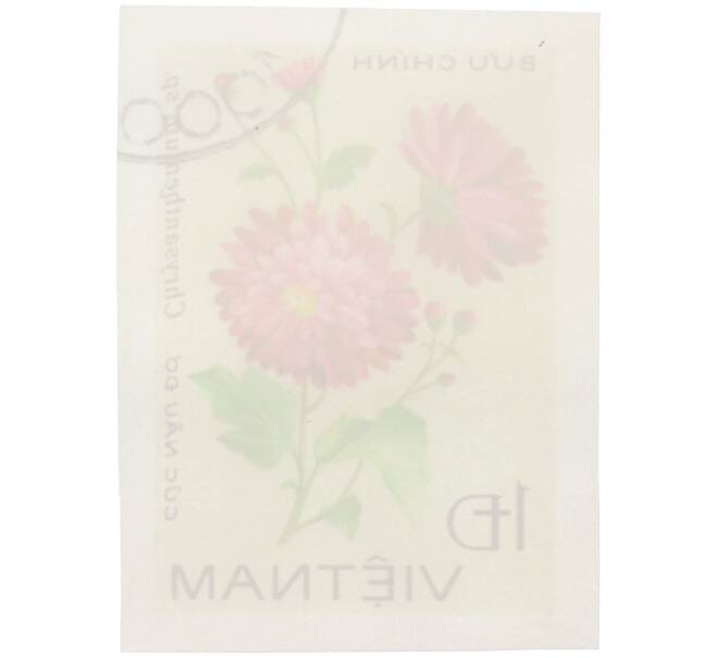 Почтовая марка 1 донг 1978 года Вьетнам «Хризантемы — Chrysanthemum sp» (Без перфорации) (Артикул: K12-80701) — Фото №2