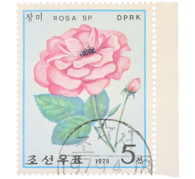 Почтовая марка 5 чон 1979 года Северная Корея «Розы — Rosa Sp»  (Артикул: K12-80703) — Фото №1