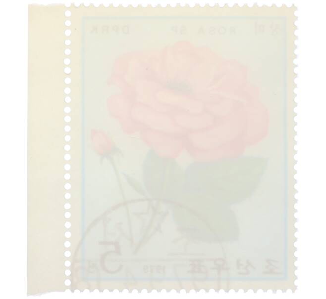 Почтовая марка 5 чон 1979 года Северная Корея «Розы — Rosa Sp»  (Артикул: K12-80703) — Фото №2
