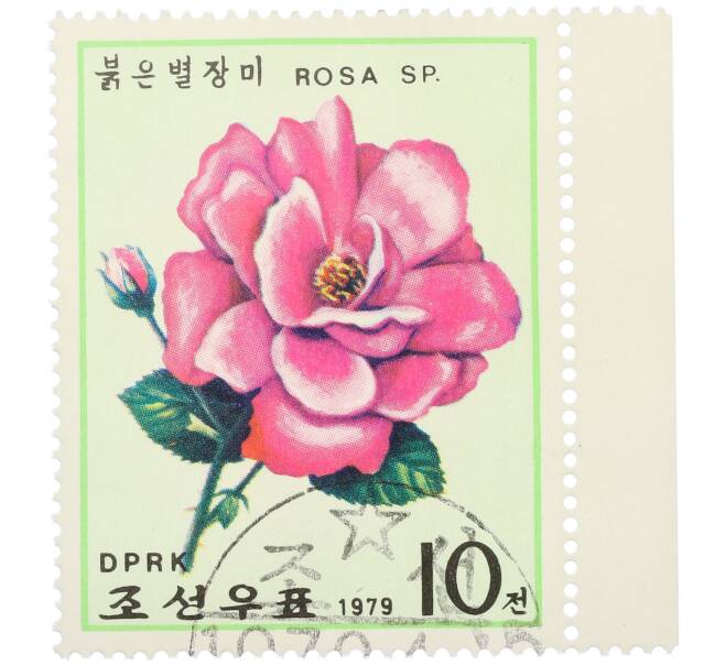 Почтовая марка 10 чон 1979 года Северная Корея «Розы — Rosa Sp» (Артикул: K12-80704) — Фото №1