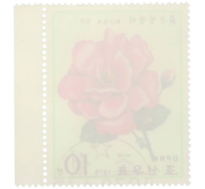 Почтовая марка 10 чон 1979 года Северная Корея «Розы — Rosa Sp» (Артикул: K12-80704) — Фото №2