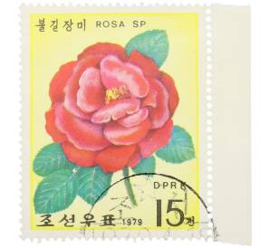 Почтовая марка 15 чон 1979 года Северная Корея «Розы — Rosa Sp» — Фото №1