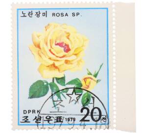 Почтовая марка 20 чон 1979 года Северная Корея «Розы — Rosa Sp» — Фото №1