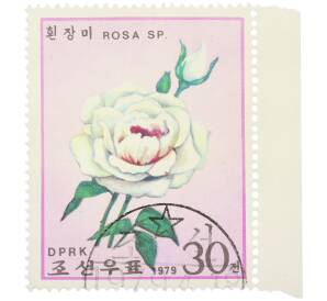 Почтовая марка 30 чон 1979 года Северная Корея «Розы — Rosa Sp» — Фото №1
