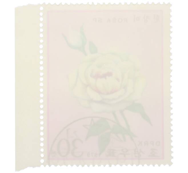 Почтовая марка 30 чон 1979 года Северная Корея «Розы — Rosa Sp» (Артикул: K12-80707) — Фото №2