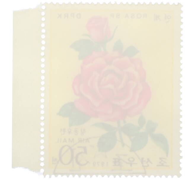 Почтовая марка 50 чон 1979 года Северная Корея «Розы — Rosa Sp» (Авиапочта) (Артикул: K12-80708) — Фото №2
