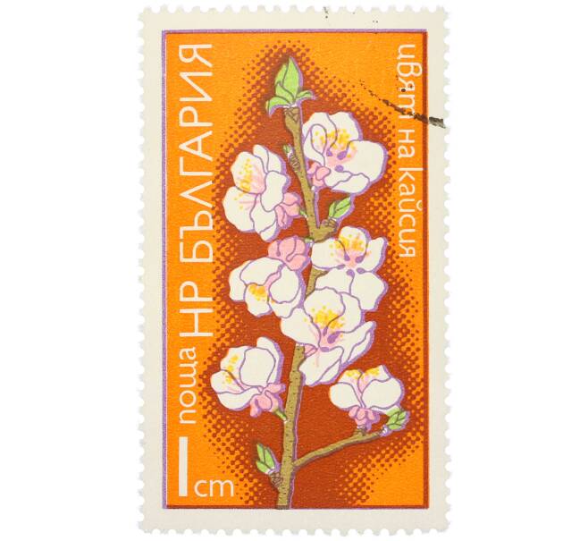 Почтовая марка 1 стотинка 1975 года Болгария «Цветы плодовых деревьев — Цветок абрикоса»  (Артикул: K12-80709) — Фото №1