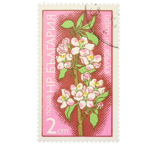 Почтовая марка 2 стотинки 1975 года Болгария «Цветы плодовых деревьев — Цветок яблони» (Артикул: K12-80710) — Фото №1