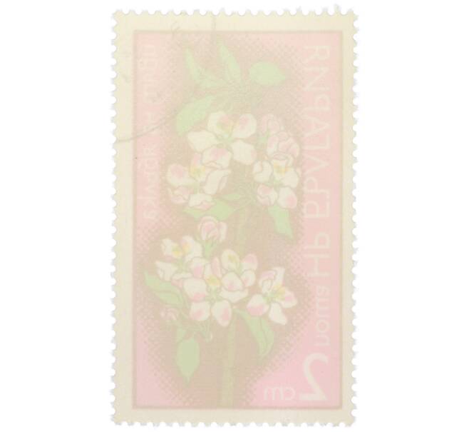 Почтовая марка 2 стотинки 1975 года Болгария «Цветы плодовых деревьев — Цветок яблони» (Артикул: K12-80710) — Фото №2