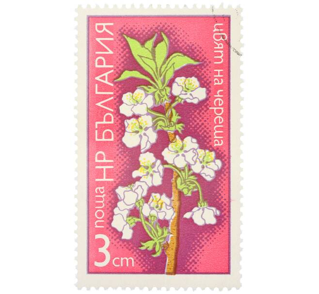 Почтовая марка 3 стотинки 1975 года Болгария «Цветы плодовых деревьев — Цветок черешни» (Артикул: K12-80711) — Фото №1