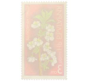 Почтовая марка 3 стотинки 1975 года Болгария «Цветы плодовых деревьев — Цветок черешни» — Фото №2