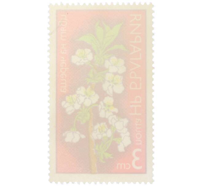 Почтовая марка 3 стотинки 1975 года Болгария «Цветы плодовых деревьев — Цветок черешни» (Артикул: K12-80711) — Фото №2