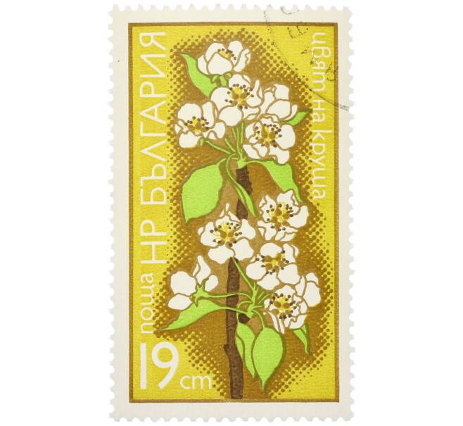 Почтовая марка 19 стотинок 1975 года Болгария «Цветы плодовых деревьев — Цветок груши» (Артикул: K12-80712) — Фото №1