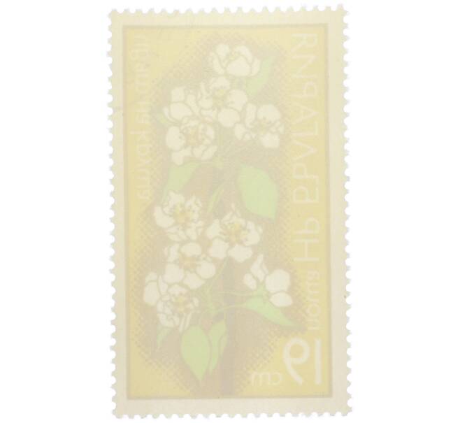 Почтовая марка 19 стотинок 1975 года Болгария «Цветы плодовых деревьев — Цветок груши» (Артикул: K12-80712) — Фото №2