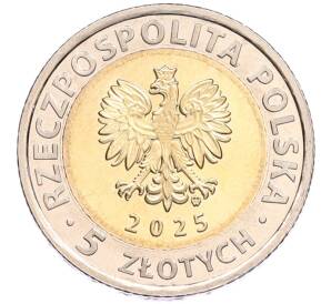 5 злотых 2025 года Польша «Открой для себя Польшу — Ратуша Бжега» — Фото №2