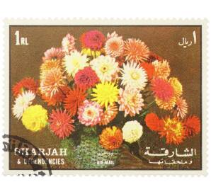 Почтовая марка 1 риал 1972 года Шарджа «Цветы — Хризантемы» (Авиапочта) — Фото №1