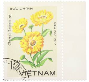 Почтовая марка 12 су 1978 года Вьетнам «Цветы — Хризантема желтая» — Фото №1