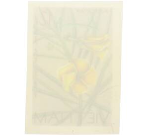 Почтовая марка 12 су 1977 года Вьетнам «Дикие цветы — Тевеция перуанская» (Без перфорации) — Фото №2