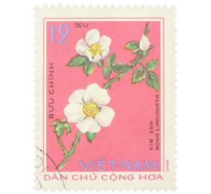 Почтовая марка 12 су 1975 года Северный Вьетнам (ДРВ) «Лекарственные растения - Роза гладкая (Rosa laevigata)» — Фото №1