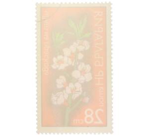 Почтовая марка 28 стотинок 1975 года Болгария «Цветы фруктовых деревьев - Абрикос» — Фото №2