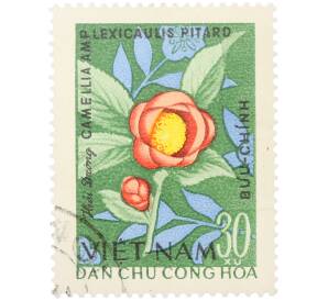 Почтовая марка 30 су 1964 года Северный Вьетнам (ДРВ) «Растения — Камелия» — Фото №1