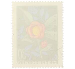 Почтовая марка 30 су 1964 года Северный Вьетнам (ДРВ) «Растения — Камелия» — Фото №2