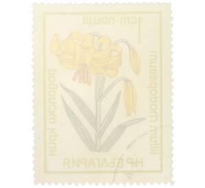 Почтовая марка 1 стотинка 1972 года Болгария «Охраняемые цветы - Лилия родопская» — Фото №2