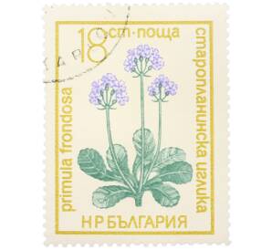 Почтовая марка 18 стотинок 1972 года Болгария «Охраняемые цветы — Примула лиственная (Primula frondosa)» — Фото №1