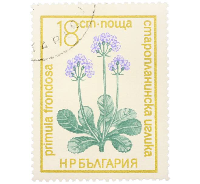 Почтовая марка 18 стотинок 1972 года Болгария «Охраняемые цветы — Примула лиственная (Primula frondosa)» (Артикул: K12-81077) — Фото №1