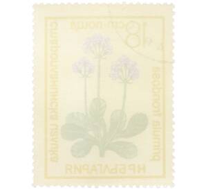 Почтовая марка 18 стотинок 1972 года Болгария «Охраняемые цветы — Примула лиственная (Primula frondosa)» — Фото №2