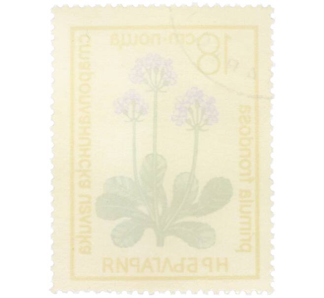 Почтовая марка 18 стотинок 1972 года Болгария «Охраняемые цветы — Примула лиственная (Primula frondosa)» (Артикул: K12-81077) — Фото №2