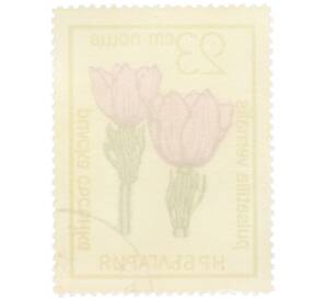 Почтовая марка 23 стотинки 1972 года Болгария «Цветы под охраной - Прострел весенний (Pulsatilla vernalis)» — Фото №2