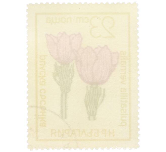 Почтовая марка 23 стотинки 1972 года Болгария «Цветы под охраной - Прострел весенний (Pulsatilla vernalis)» (Артикул: K12-81079) — Фото №2