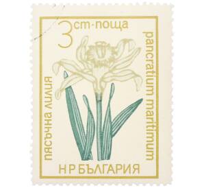 Почтовая марка 3 стотинки 1972 года Болгария «Цветы под охраной - Панкраций морской (Pancratium maritimum)» — Фото №1