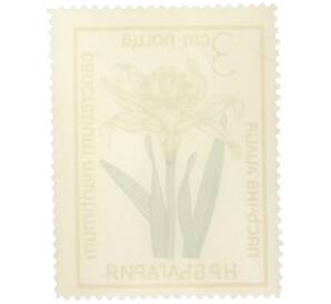 Почтовая марка 3 стотинки 1972 года Болгария «Цветы под охраной - Панкраций морской (Pancratium maritimum)» — Фото №2