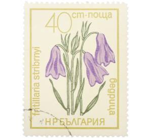 Почтовая марка 40 стотинок 1972 года Болгария «Охраняемые цветы — Рябчик Стрибрнея» — Фото №1