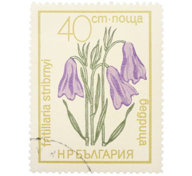 Почтовая марка 40 стотинок 1972 года Болгария «Охраняемые цветы — Рябчик Стрибрнея» (Артикул: K12-81081) — Фото №1