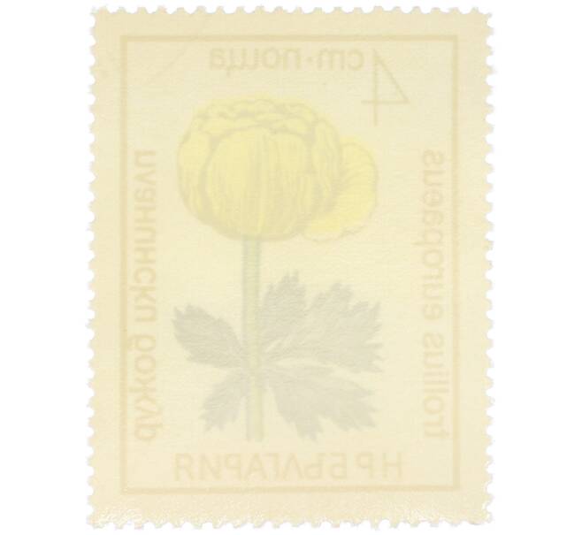 Почтовая марка 4 стотинки 1972 года Болгария «Охраняемые цветы — Купальница европейская» (Артикул: K12-81082) — Фото №2