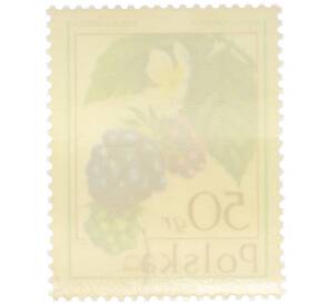 Почтовая марка 50 грошей 1977 года Польша «Лесные ягоды — Ежевика сизая» — Фото №2