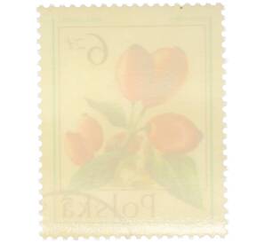 Почтовая марка 6 злотых 1977 года Польша «Лесные ягоды — Шиповник собачий» — Фото №2