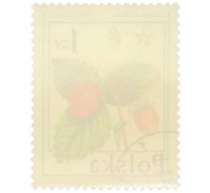 Почтовая марка 1 злотый 1977 года Польша «Лесные ягоды — Земляника лесная» — Фото №2