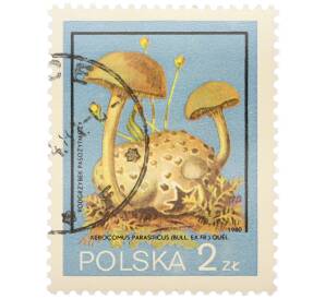 Почтовая марка 2 злотых 1980 года Польша «Грибы под охраной — Моховик паразитный» — Фото №1