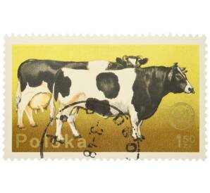 Почтовая марка 1.50 злотых 1975 года Польша «26-й съезд Европейской зоотехнической федерации в Варшаве — Корова черно-белой породы» — Фото №1