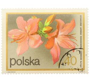 Почтовая марка 40 грошей 1972 года Польша «Цветущие кустарники — Рододендрон японский» — Фото №1