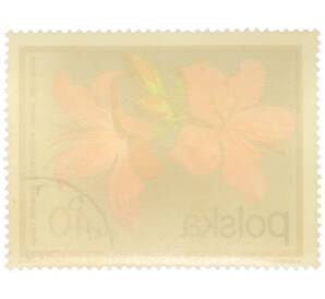 Почтовая марка 40 грошей 1972 года Польша «Цветущие кустарники — Рододендрон японский» — Фото №2