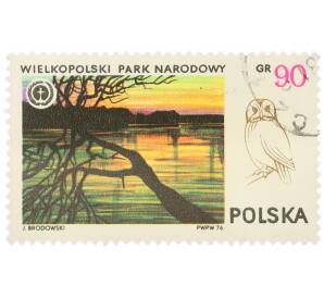Почтовая марка 90 грошей 1976 года Польша «Национальные парки — Великопольский национальный парк и сова» — Фото №1