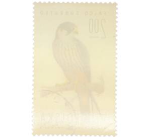 Почтовая марка 2 злотых 1974 года Польша «Охрана природы — Чеглок (Falco subbuteo)» — Фото №2
