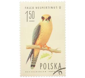 Почтовая марка 1.50 злотых 1975 года Польша «Соколы - Кобчик» — Фото №1